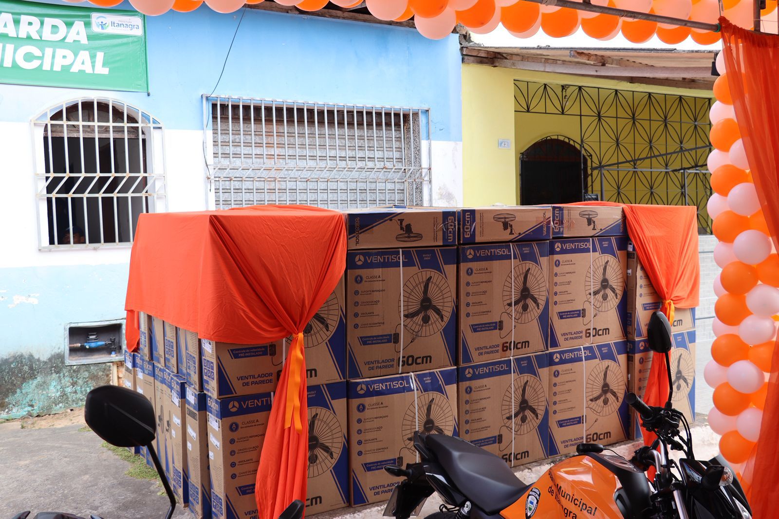 WhatsApp Image 2026-02-11 at 18.29.52